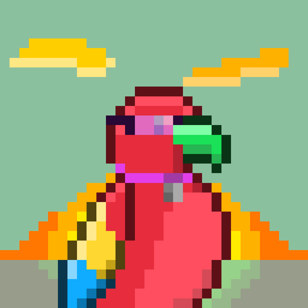 Parrots 🦜 tweet media