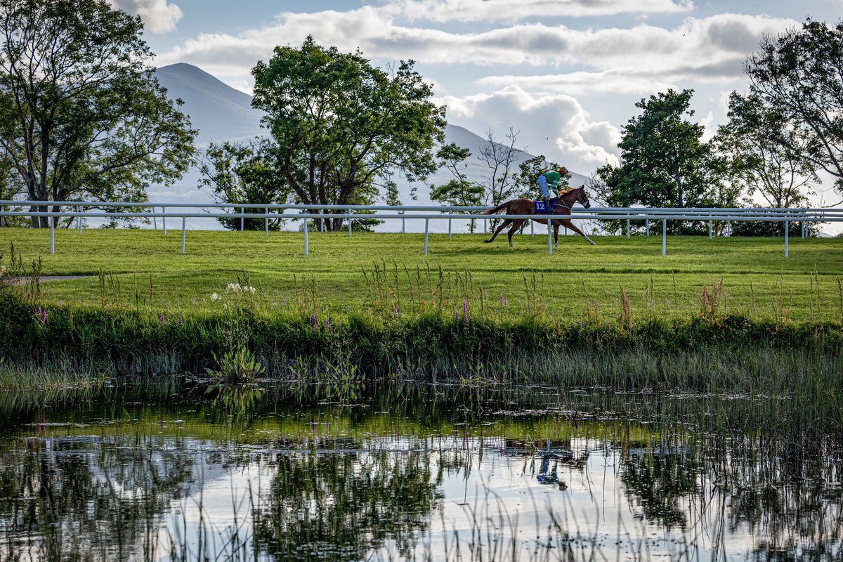 .<a href="/KillarneyRaces/">KillarneyRaces</a> 🤩

📸 <a href="/patrickmccannrp/">Patrick McCann</a>