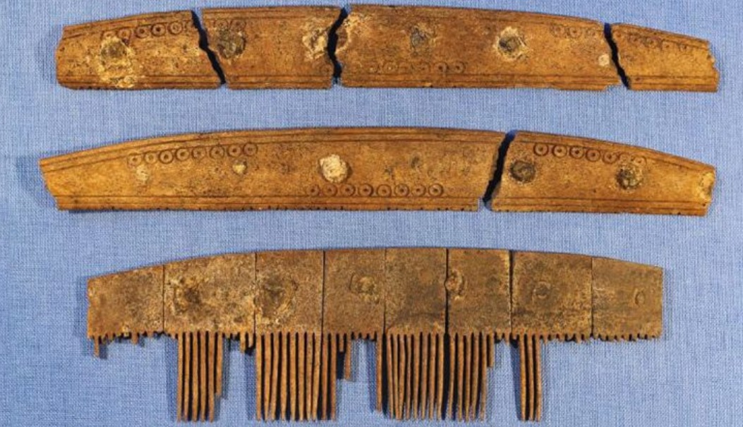 We were entertained at our July meeting by Sheena Lewington who lectures on Cruise Ships.
We learnt some amazing things about the vikings. They had a bath every Saturday and carried combs on their belts. A very interesting evening.  We shall be inviting Sheena back to here more