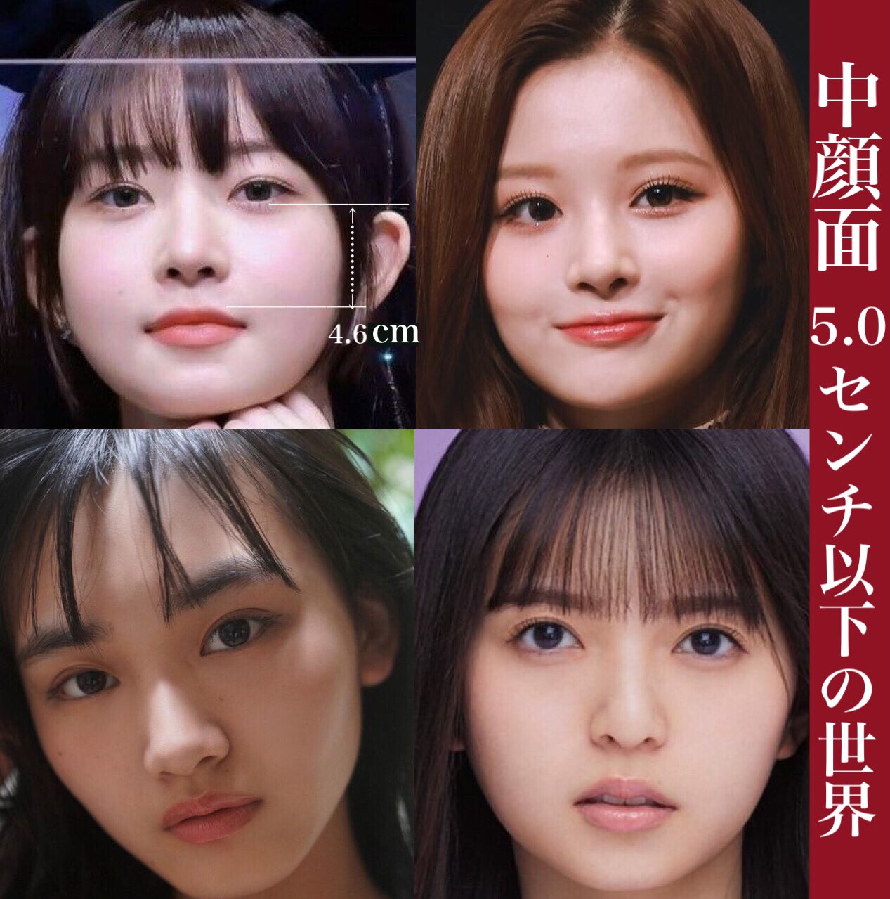 くまかま An Bow8 Twitter