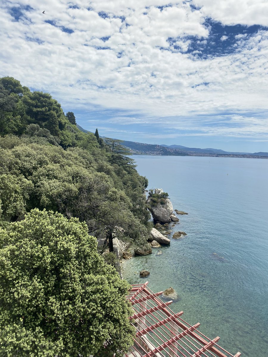 Isa_Fran_co's tweet photo. «Fare ciò che ami è libertà. Amare ciò che fai è felicità» (George Steiner).
Mi sento libera e felice e pure fortunata 😉
#oggi #Miramare #Trieste https://t.co/Tqan8S0tkw