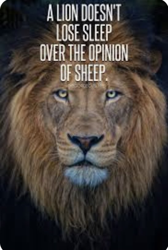 Nicholas J Down (@tweetnjd) on Twitter photo 