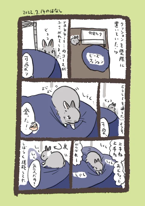 そして昨日のrabbit…
#うさぎのいる生活 