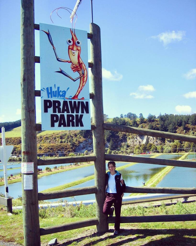 Here’s an oldie from about 13 years ago before we lived in New Zealand. I’m pretty sure we ‘caught’ some prawns for dinner. 🦐 
#thursdaythrowback #newzealandvacations #prawns🍤 instagr.am/p/Cf_2M-8N77u/