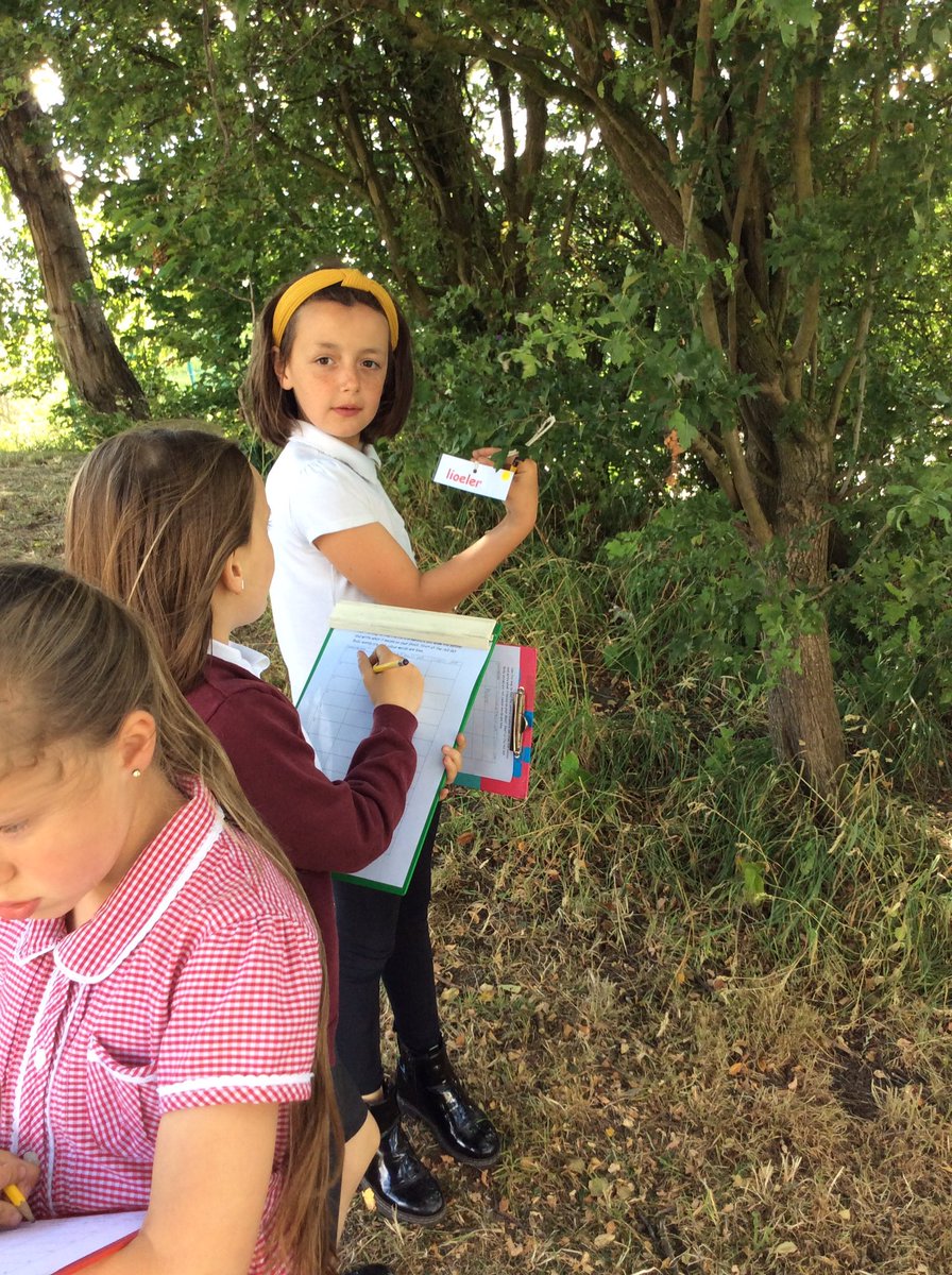 MelthamMoor's tweet photo. We have been revising some of our French vocabulary by doing a scrambled vocabulary treasure hunt. It was a a fun challenge.
#MMYear3 #MMFrench https://t.co/Iud6TYfVhe