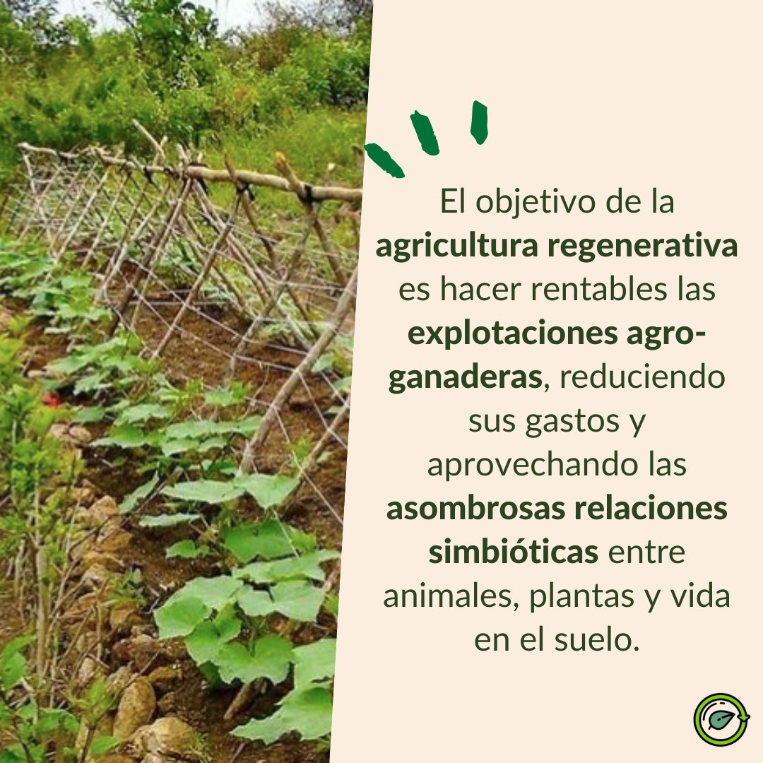 AGRO360rd's tweet photo. Una población con buena salud y energía podrá desarrollar con plenitud su potencial humano e impulsar el cambio que necesita nuestro planeta🌍

🌐https://t.co/AARNDerCyI

#porundiamejor #agro360 #agriculture #SocialImpact #leadership #EndWorldHunger #sustainability #agriculturard https://t.co/JzDlawyUxA