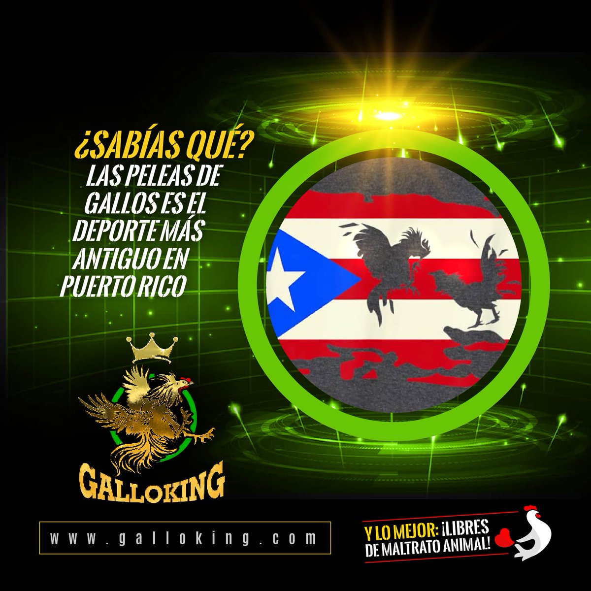 De por sí las peleas de gallos ya se consideran una practica milenaria, pero específicamente en nuestro país también se practicaba antes de que se empezaran a consolidar los demás deportes que conocemos hoy en día.

#GalloKingCoin #GalloLineaje #GalloFight #GalloNFT #MetaCock