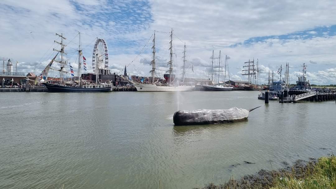 Harlingen 2022. <a href="/TSRH2022/">Tall Ships Races Harlingen</a> Welkom in Harlingen.
