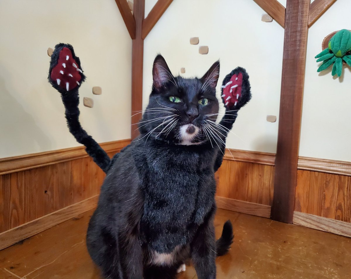 Everyone wants a pet Displacer Beast.
But no one wants to be woken up early by a hungry Displacer Beast insisting it's breakfast time.

#DungeonsandDragons #DnD