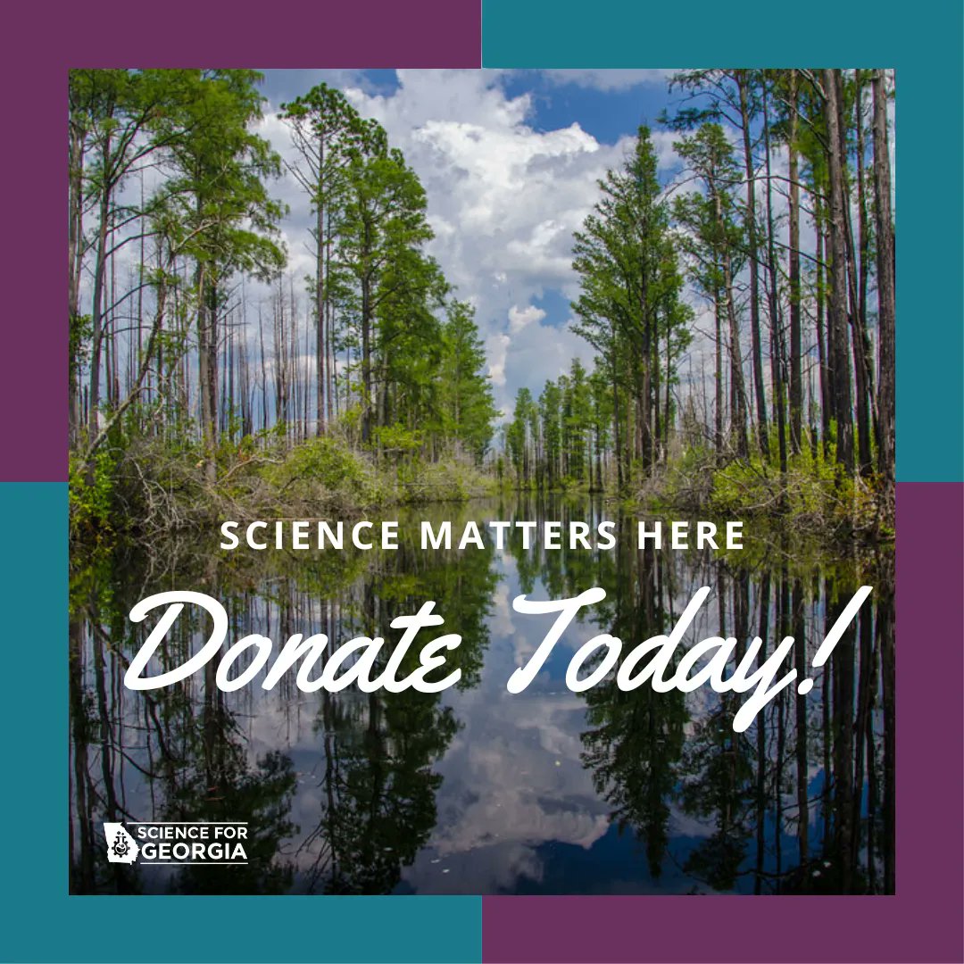 Sci4GA's tweet photo. With your donation #Sci4Ga can continue applying science that matters to you, and bring you fun activities like the Scavenger Hunt to the Sea! Tap the link to #donate today! https://t.co/OVxWizQyUo #scicomm #scipol #sciencematters #gapol #GaWaterHunt2022 https://t.co/uiC6y6evxO