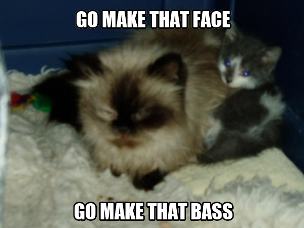 cat_grips's tweet image. 