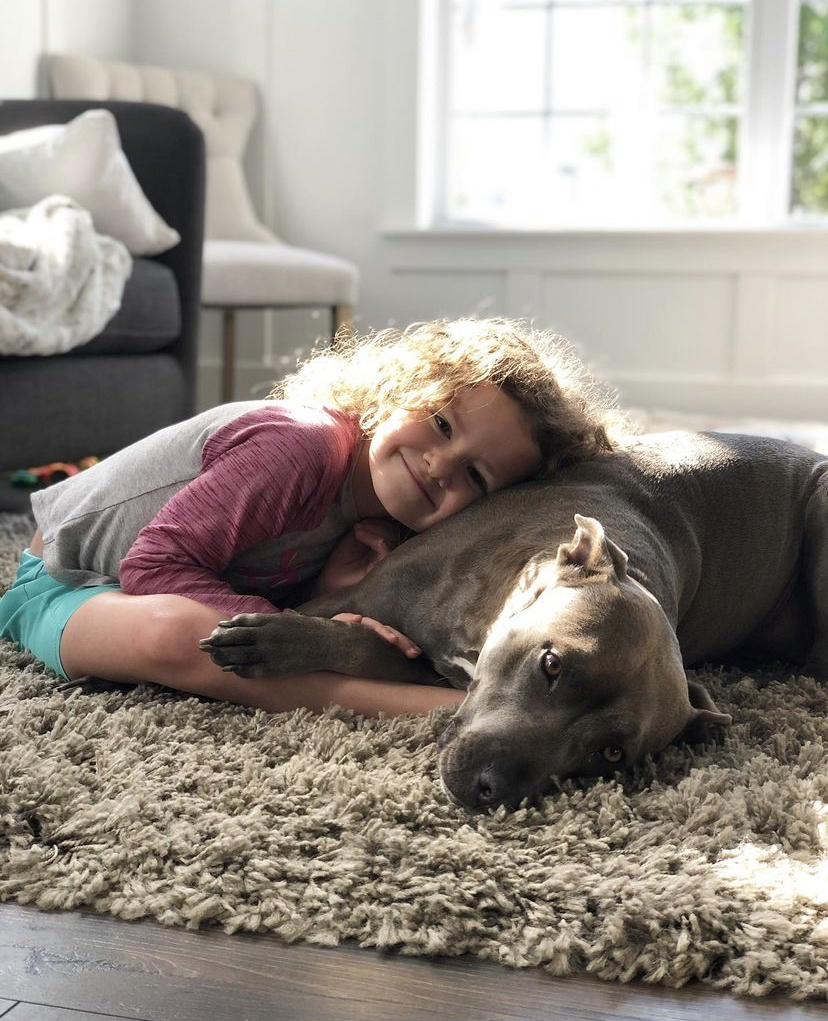 Move over diamonds - PIT BULLS are a girl's best friend! 🙌