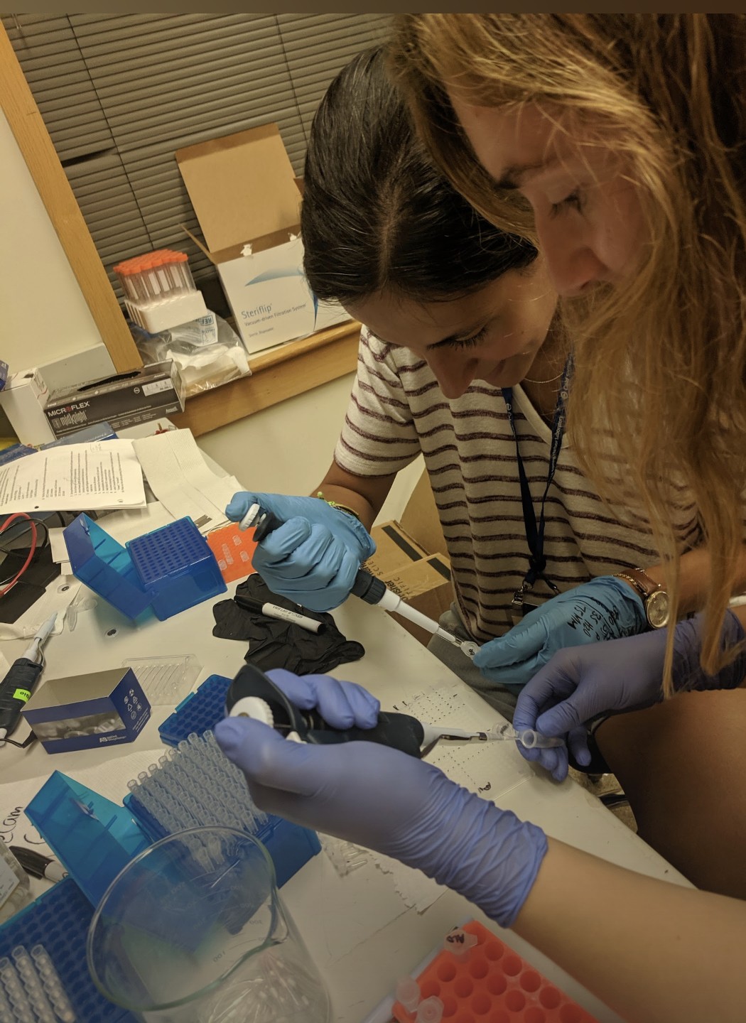 Schaefer Lab (lab_schaefer) / Twitter