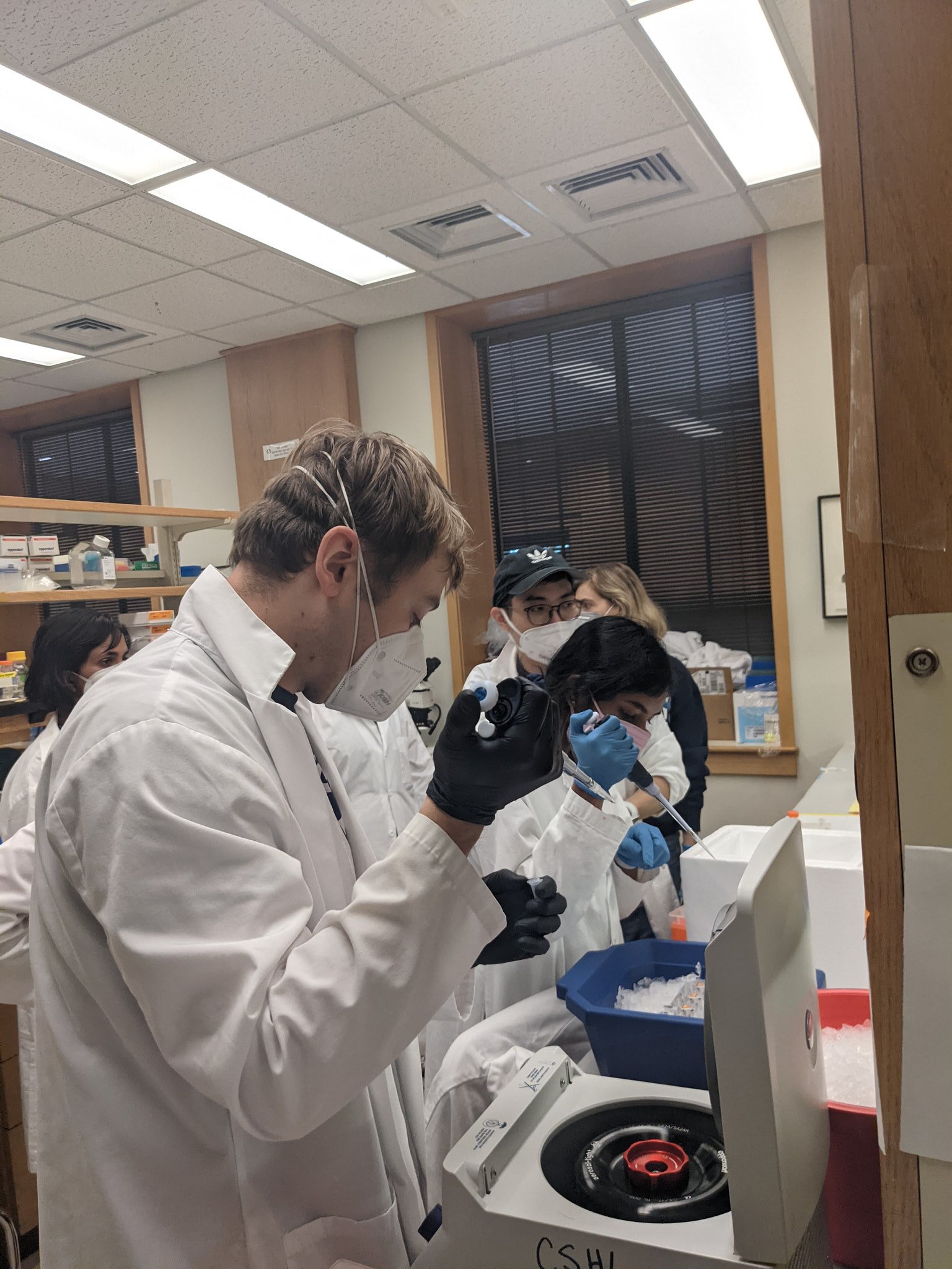 Schaefer Lab (lab_schaefer) / Twitter