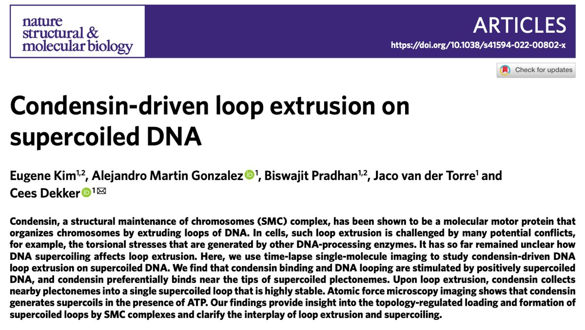 Cees Dekker tweet media