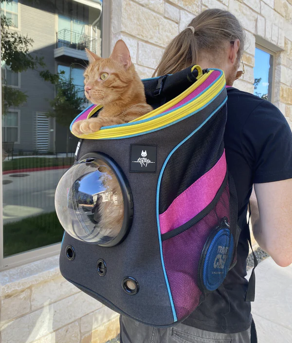 yourcatbackpack harness