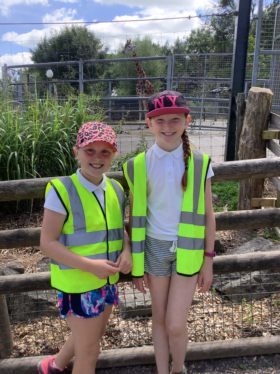 StPetersPilning's tweet photo. Y3 &amp; Y4 enjoyed the trip to Noah's Ark Zoo Farm. https://t.co/YFCeOF2hsy