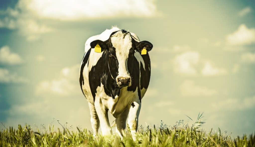 Voz_do_Campo's tweet photo. Governo concede apoio excecional a agricultores de 24,3 milhões de euros
Saiba mais: https://t.co/IDLjxe44Tb
#vozdocampo #governamental https://t.co/Y4K1OaEndO