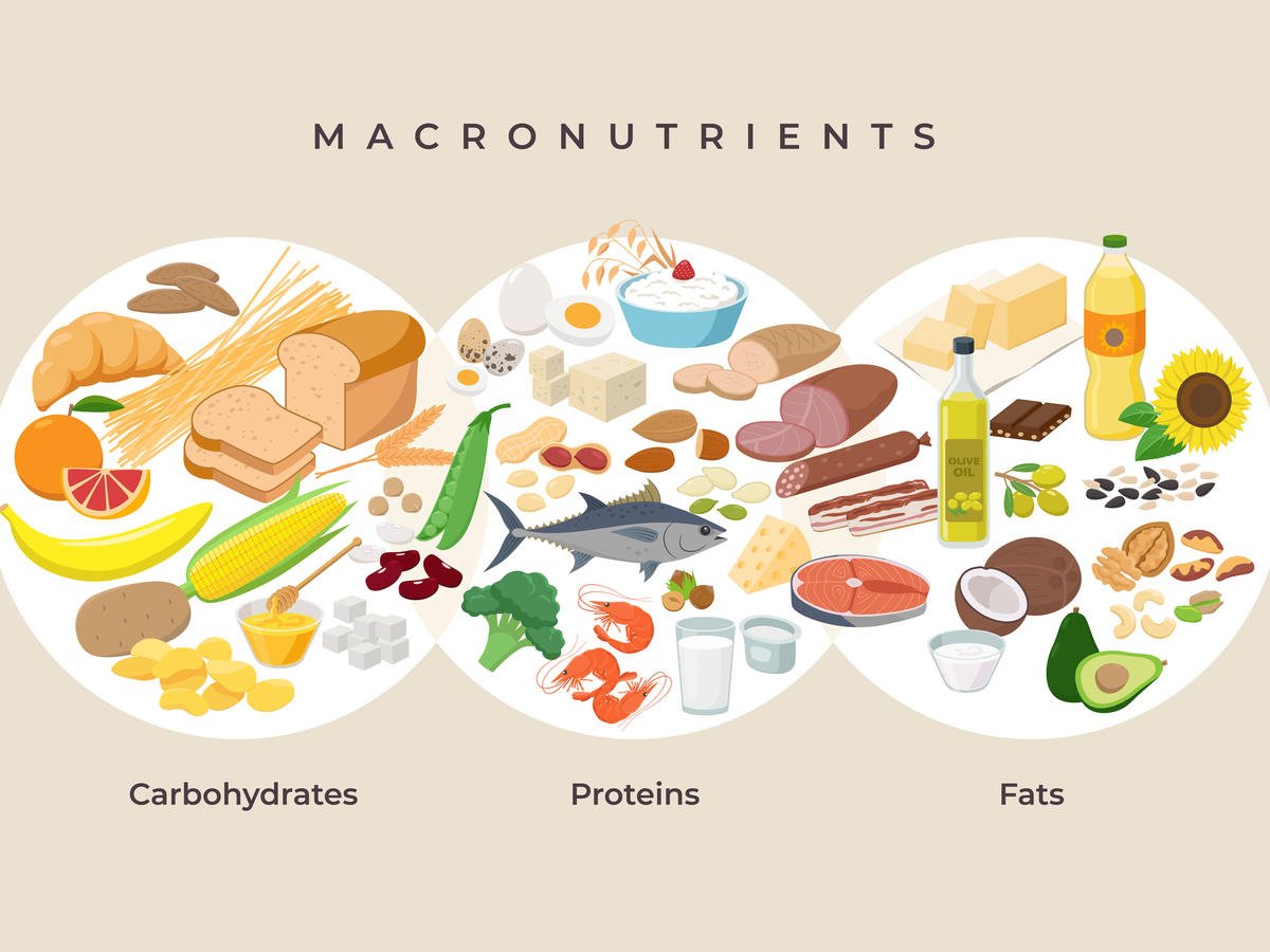 Today's daily challenge 💪!

Here is a quick way to get your daily Macros breakdown!

Thread 🧵. Come to our Discord to earn 50 points for sharing your macros!