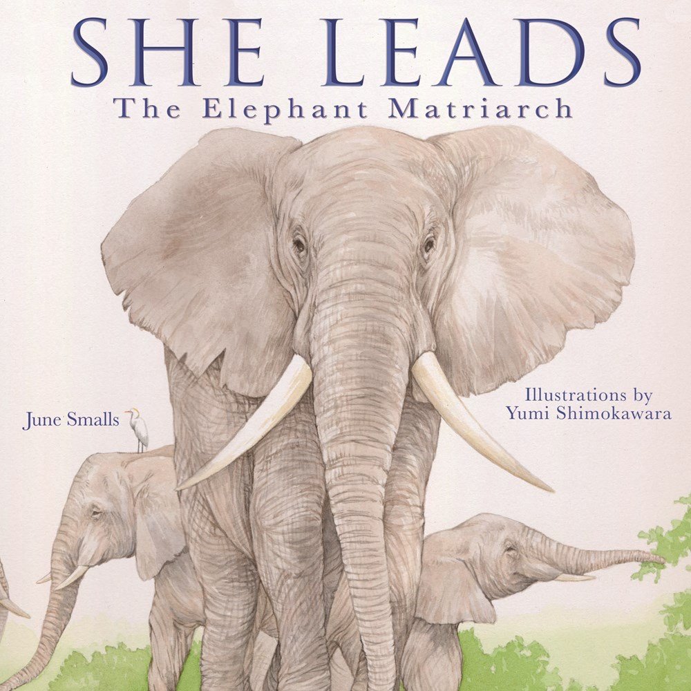 Jenny (I LOVE HARRIET KIPPLEY is out now!) (@kidlitjenny) on Twitter photo #KidlitCritiqueDay Giveaway! 🥳🎉
June Smalls (author of SHE LEADS and HE LEADS) is generously offering a critique on a non rhyming story of 1,000 words or less. To enter retweet, like, and comment on this post. Must do all three. 😊
<a href="/June_Smalls/">June Smalls - Children's Author</a> #KidlitCritiqueDay Giveaway! 🥳🎉
June Smalls (author of SHE LEADS and HE LEADS) is generously offering a critique on a non rhyming story of 1,000 words or less. To enter retweet, like, and comment on this post. Must do all three. 😊
<a href="/June_Smalls/">June Smalls - Children's Author</a>