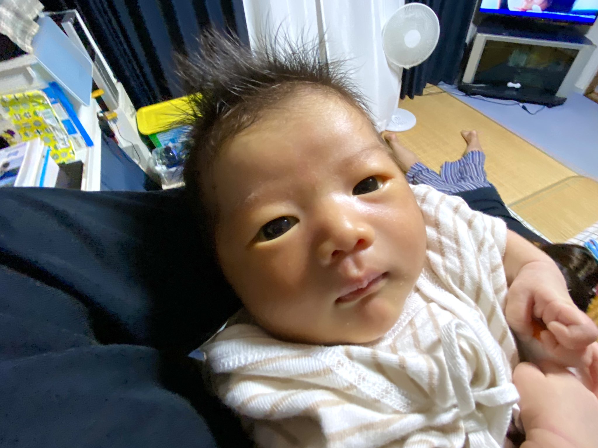 生後2週間 Twitter Search Twitter
