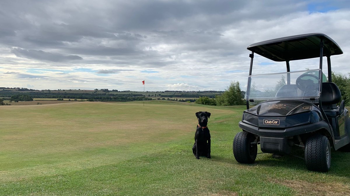 Young Ilex out helping Rory change holes this morning <a href="/AlnwickGolf/">Alnwick Castle Golf</a> . She was very well behaved and welcome back anytime.                                                📷 Rory
