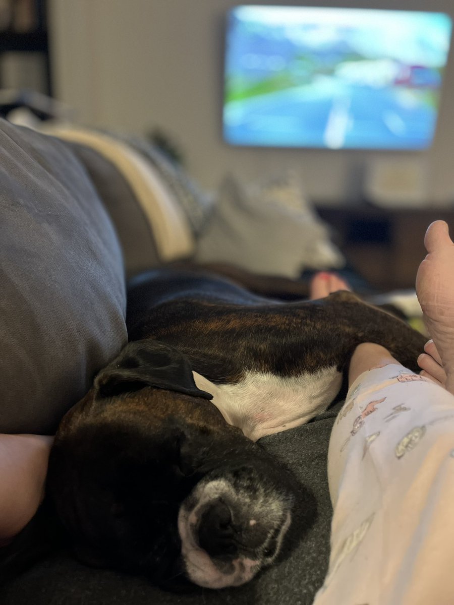 CallistaBee's tweet image. #tourdog power napping early to stay the distance #couchpeloton #sbstdf
