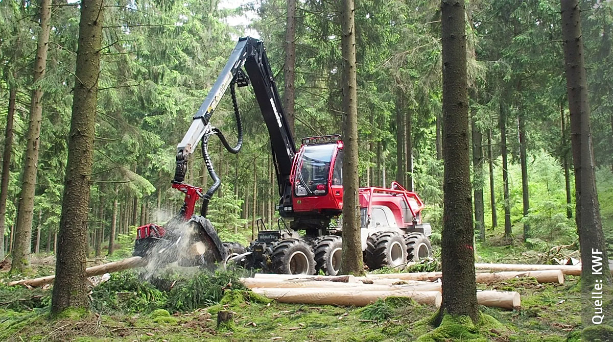 FNR_eV's tweet photo. Klingt nach Havy metal und wirkt gegen Borkenkäfer: Debarking Heads! FNR stellt entrindenden Harvesterkopf auf der INTERFORST in München vor.
#Schadholz #Bodenschutz
https://t.co/Mq0E1Ou5dz https://t.co/fjRqvZHtC6
