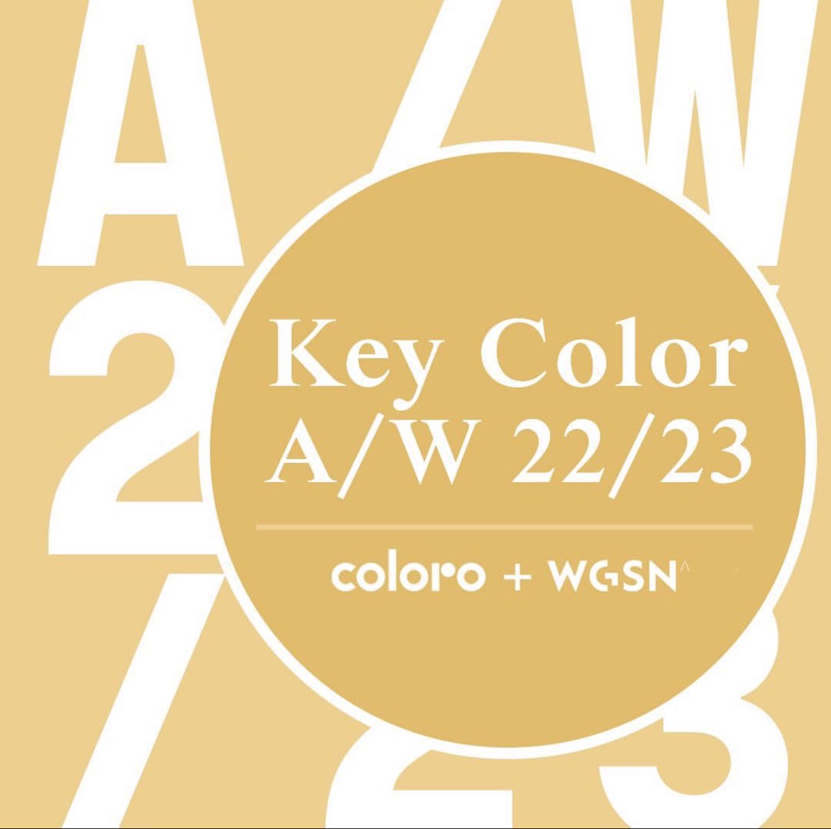 DVOTIO's tweet photo. @wgsn @pantone https://t.co/39UMpyPVje