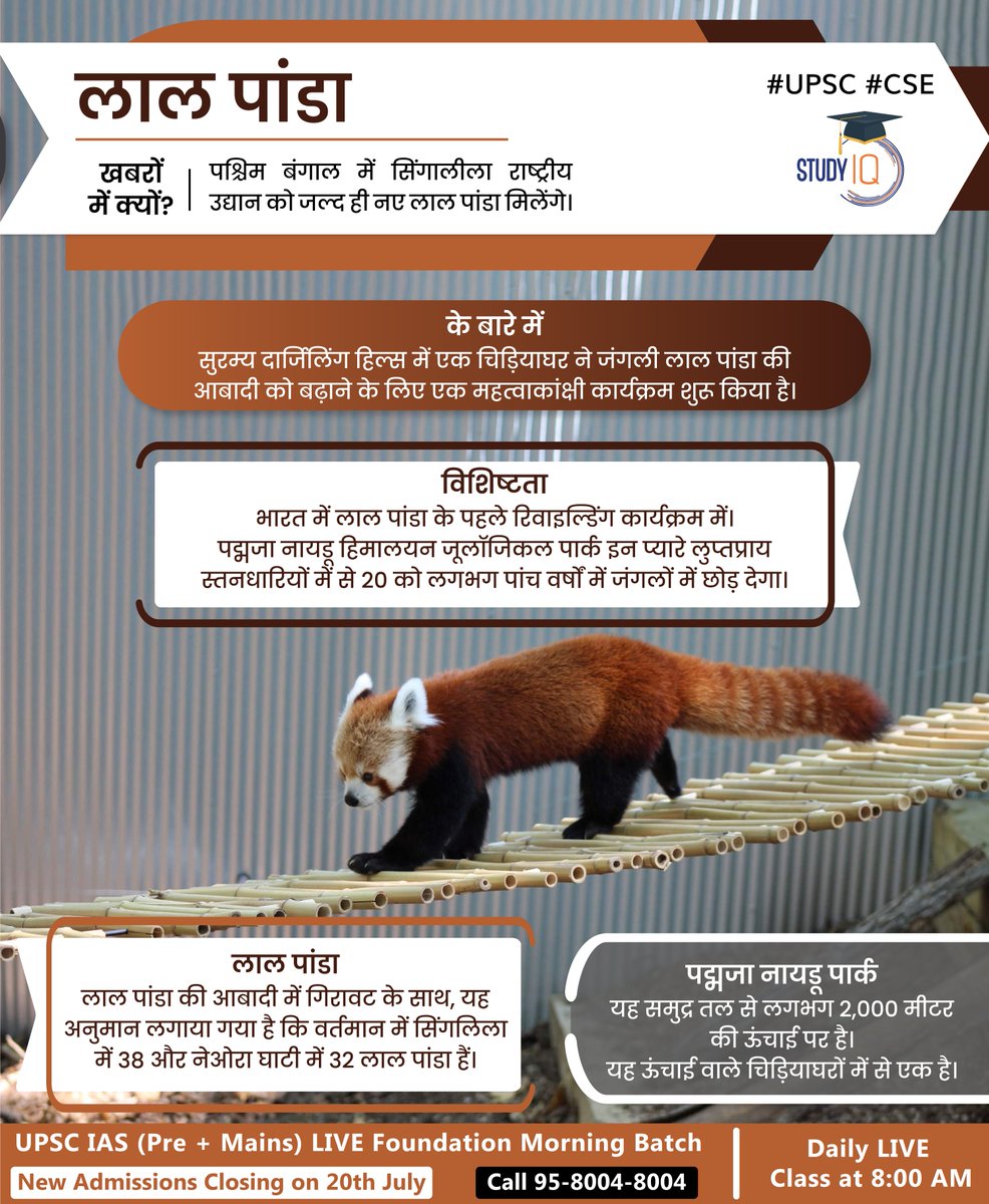 upsciq's tweet photo. #Red #Pandas
#redpandas #upsc #cse #whyinnews #singalilanationalpark #westbengal #zoo #darjeeling #wildredpanda #population #padmaja #forests #padmajanaidupark https://t.co/baN78iDzDf