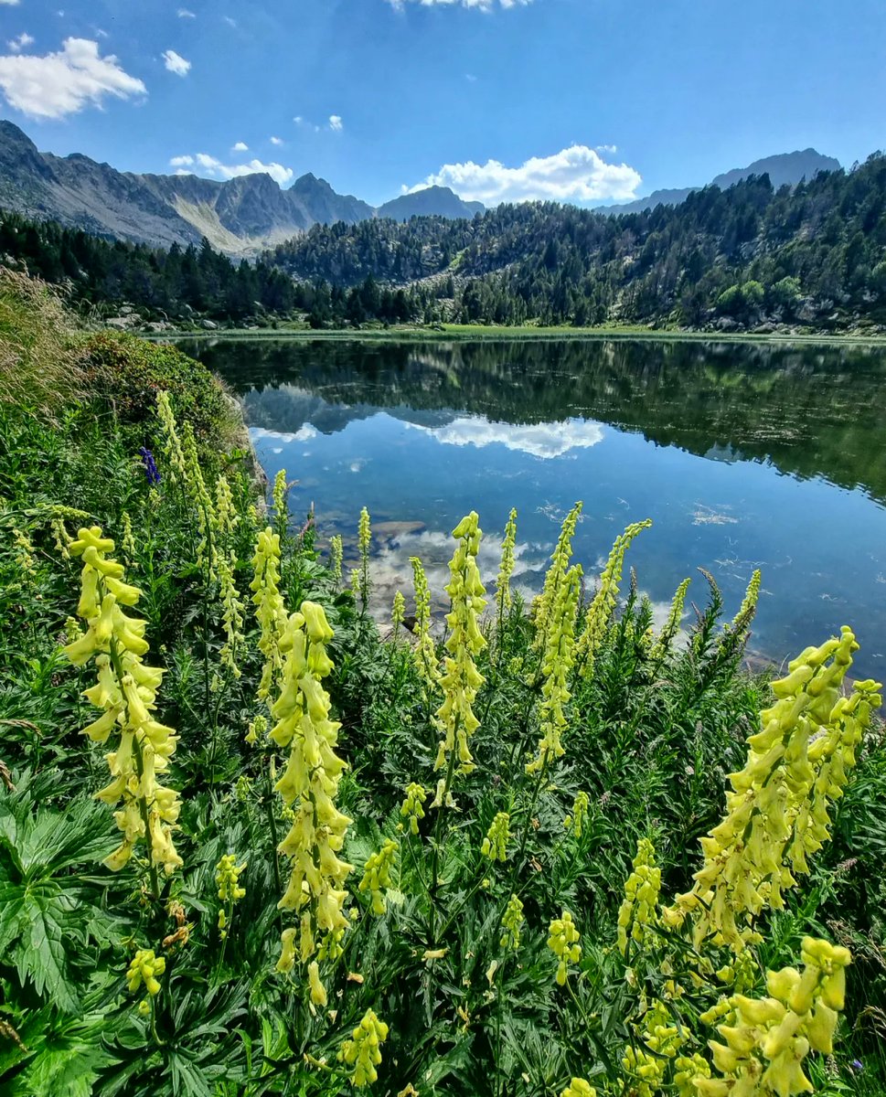 ricardrigall's tweet photo. Pessons. #pessons #estanysdepessons #encamp #andorra #bicicleta #btt #mtb #estiu2022 https://t.co/aeRl0GzUC5