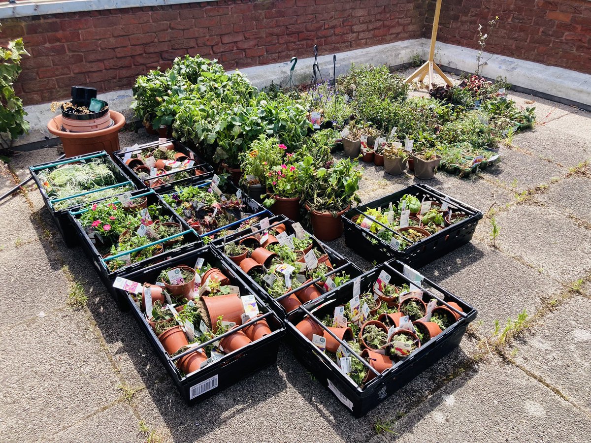 Thank you to Mandy &amp; her team <a href="/sainsburys/">Sainsbury's</a> #CastleVale for their huge donation of plants 🪴🪴🪴 With a bit of TLC during this warm weather they’ll be a welcome edition to our #gardening &amp; #community projects 💚