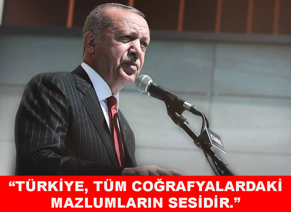 🇹🇷 Mahmut Sami Mallı (@mahmutsamimalli) on Twitter photo 