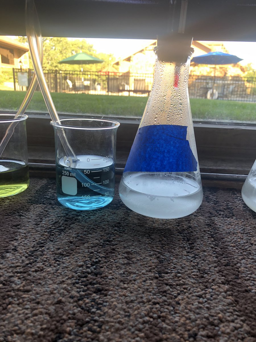 Kayla Pohle tweet media