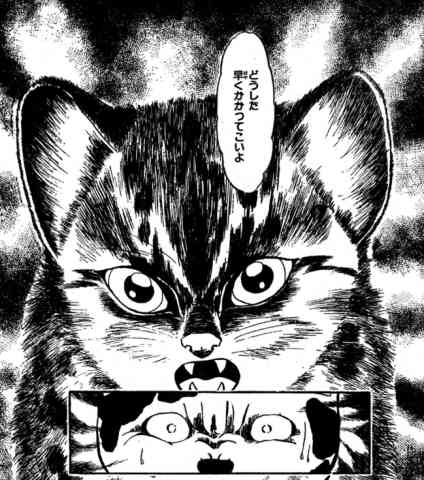 犬バトル漫画と言えば銀牙ですが猫バトル漫画もあったのですヤマブキ(1985～1989)作・画:寺川枝里子ピンギーマヤー(1990):作:山本邦一・画:さいとうかずとどちらもイリオモテヤマネコとイエネコのハーフが主人公で突然野性を出して凄んだりオーラを出したりしますどちらも面白いよ! 