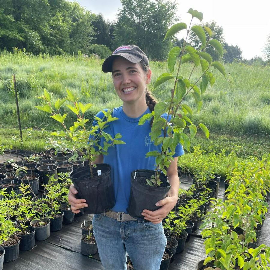 natshoretech's tweet photo. Our July native plant sale is this weekend! We have new plant species in stock and a variety of native trees and shrubs so stop on by! Friday and Saturday 10am to 4pm 1480 County Rd. 90 Independence, Mn. https://t.co/NnwqRpKMsi https://t.co/gLESz5HIfC