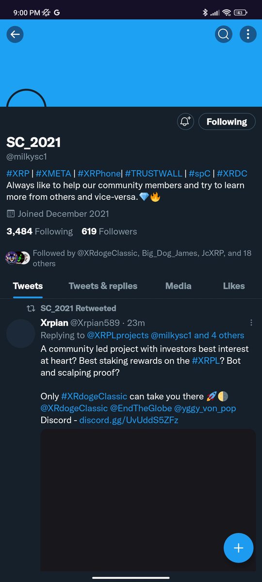 XRP Gelo tweet media