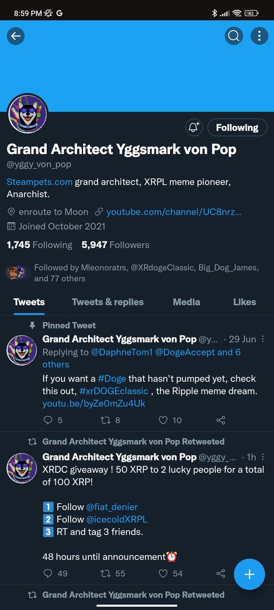 XRP Gelo tweet media