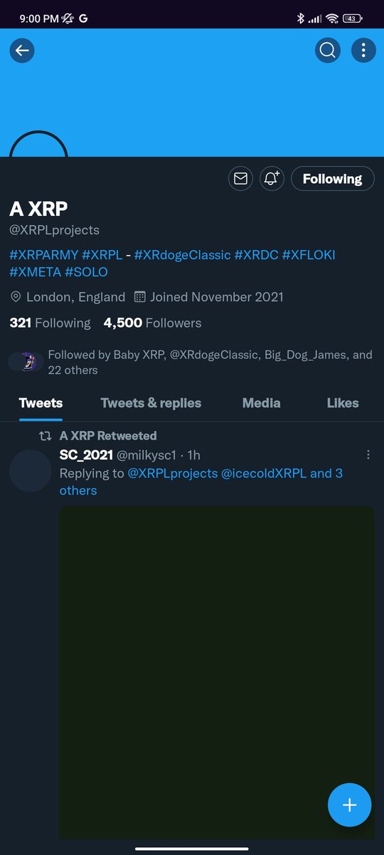 XRP Gelo tweet media