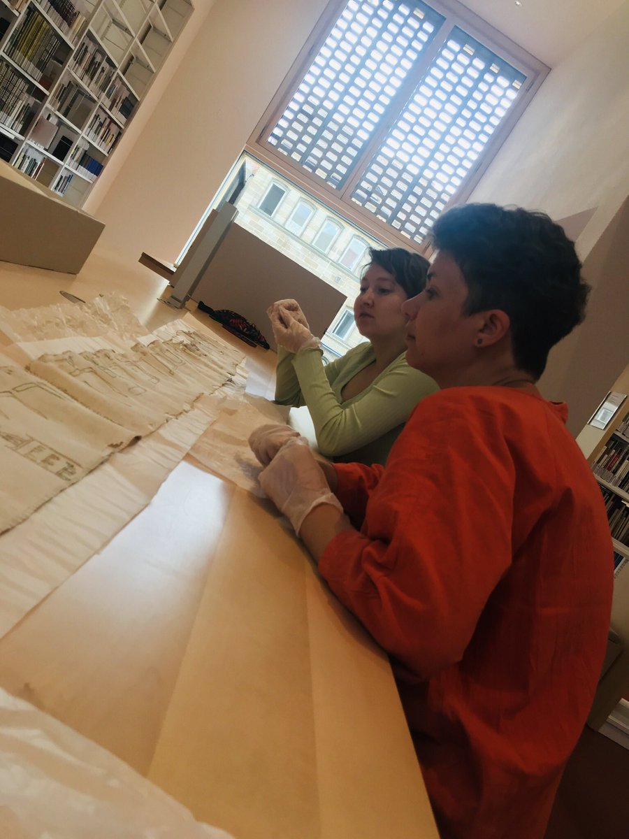 Daniela F Eisenstein tweet media