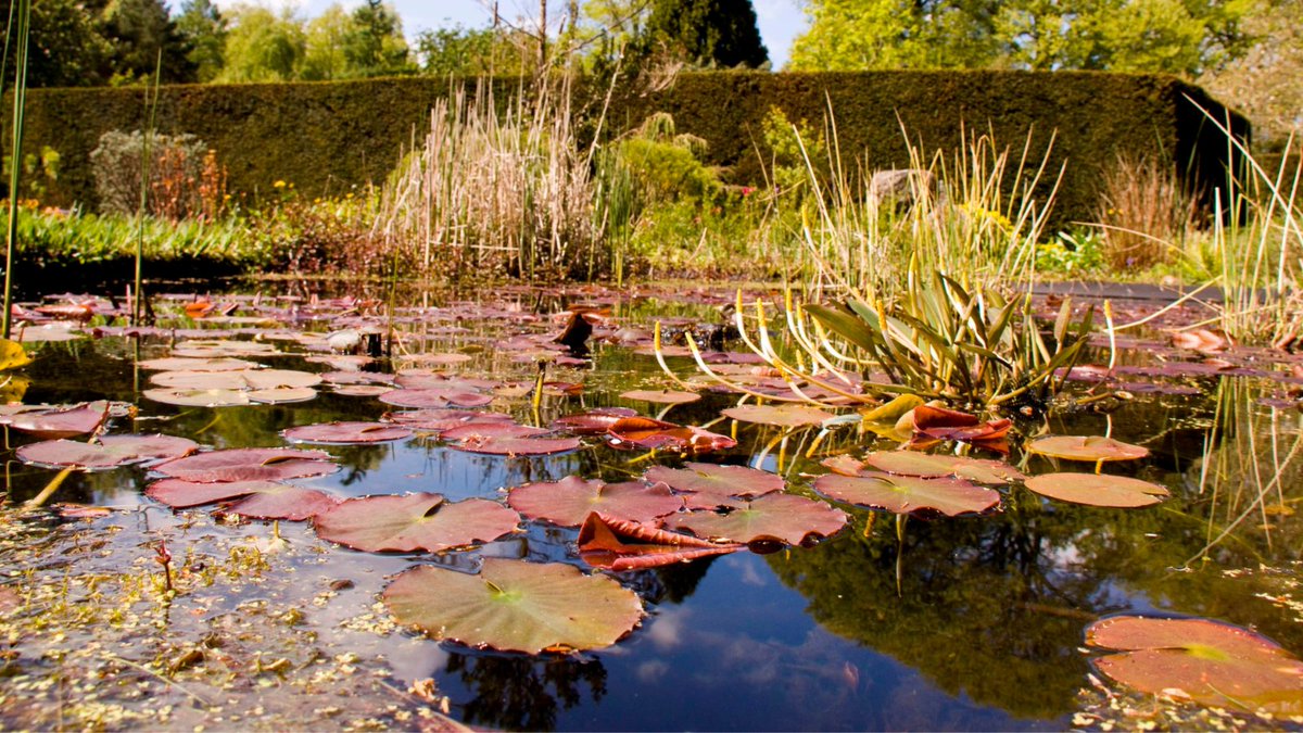 There is lots going on at Greenbank Garden in Carolside, East Renfrewshire this summer. Our latest news post has a list of events including butterfly counts, woodland trails and an outdoor theatre performance.
eastrenchampionsboards.co.uk/greenbank-gard…
#outdoorevents #naturetrail #outdoortheatre
