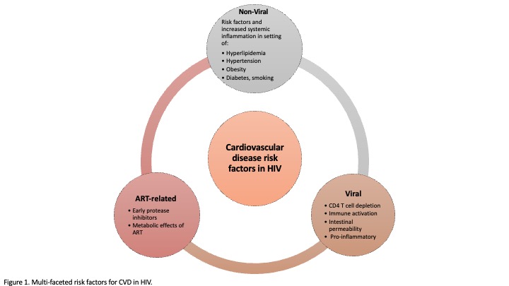 Outstanding review on HIV cardiovascular disease: global health lead by @hopkinsheart Cardiology Fellows @Anjali_Wagle and @ErinGoerlich with coauthors @KathyWuMD @BethelWolduMD @WendyPost9 @AllisonGHaysMD : rdcu.be/cRhAn @CiccaroneCenter @HopkinsMedicine