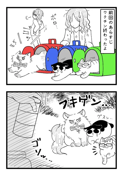 病院から帰ってきたよ漫画。病院編完結!
ミケサク飼い主がやっと登場、そしてこんな扱いでごめん←

  #funkycat #ファンキーキャット 