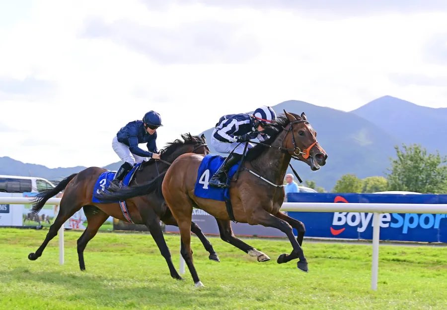 Stack_Racing's tweet image. Second Career Win For Papilio…bit.ly/3yBVuhG #StackRacing