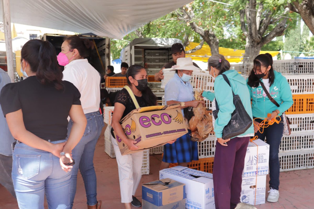 RodriCastM's tweet photo. Agradezco a la @SEDAGRO_HIDALGO  encabezada por el Lic @Car_Muniz por la apertura y estás acciones. 

#DiputadoDeTrabajo #LXVLegislaturaHidalgo
#DiputadoDeGestión https://t.co/slpq200KDe