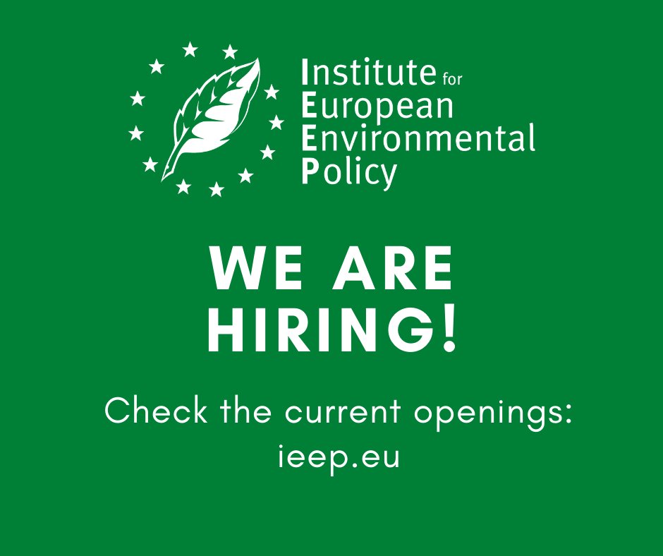 IEEP_eu's tweet photo. Join our team! We have openings for:
🟢 Executive Director (deadline 20 July)
🟢 Senior Policy Analyst - Sustainable Trade (deadline 29 July)
🟢 Events Officer (deadline 12 August)

Find out more 👇

https://t.co/BZIOHZKlBh

#WeAreHiring #JobsWithPurpose #SustainabilityJobs https://t.co/knw0rHSsMJ