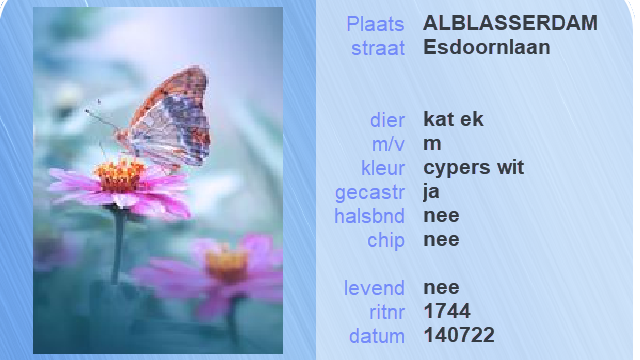 Louterbloemen's tweet photo. Dierenambulance Louterbloemen  -  06 17003200 
#dierenambulance #asiel #louterbloemen #vermist #gevonden #dier #hond #kat #konijn #vogel #drechtsteden #dordrecht #zwijndrecht #papendrecht #sliedrecht #hendrikidoambacht https://t.co/wzCKDx84HS