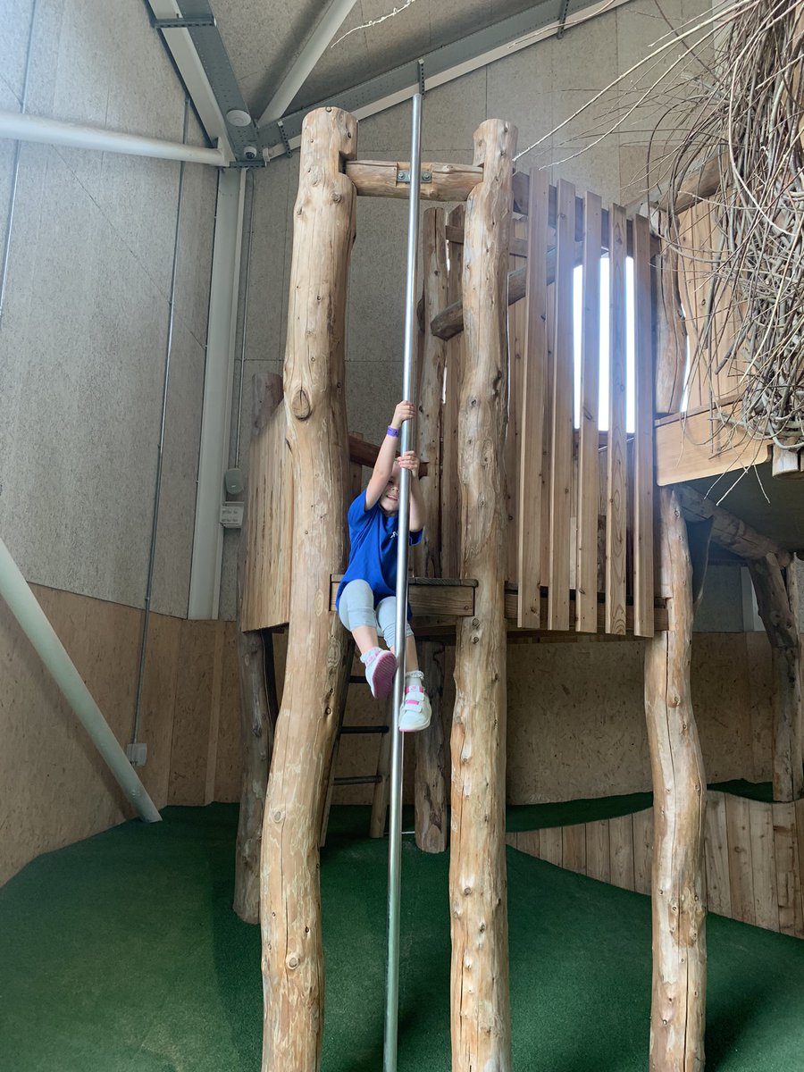 DeltaCravenKC's tweet photo. We have had a fantastic day @williamsdenplay. The children have been incredible! ⭐️⭐️ @DeltaCravenY2 @DeltaCraven  @deltacravenY1 https://t.co/MxnSzu1E1O
