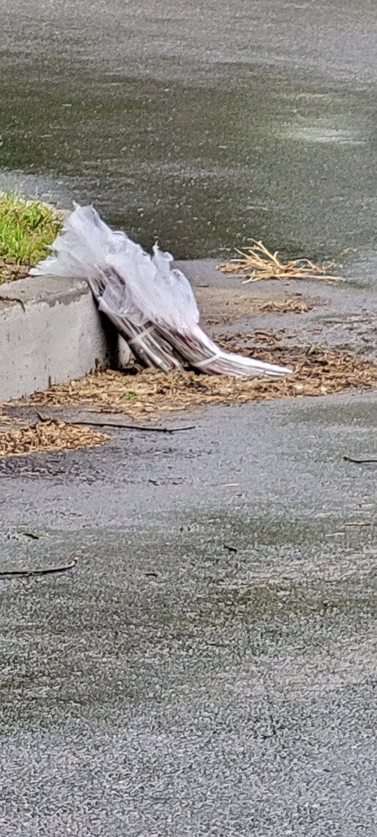 Ramwarrior/Rhamwarrior tweet media