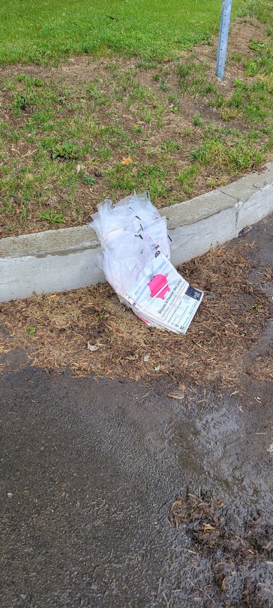 Ramwarrior/Rhamwarrior tweet media